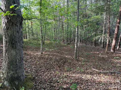 0 Shenandoah Drive Spindale NC 28160