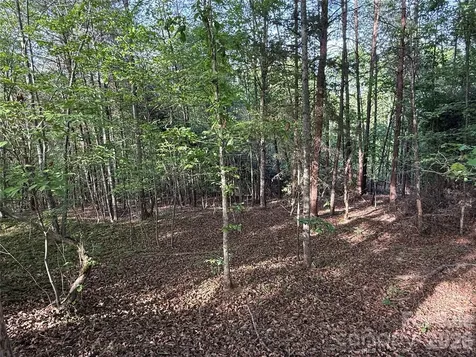 0 Shenandoah Drive Spindale NC 28160