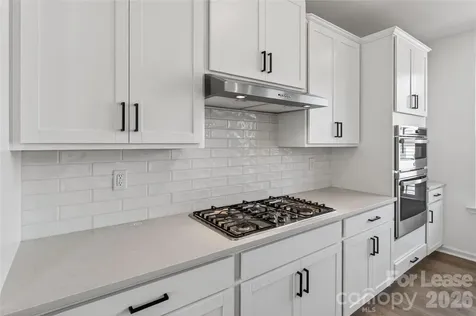 504 Annie Lowery Way Davidson NC 28036