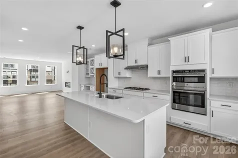 504 Annie Lowery Way Davidson NC 28036