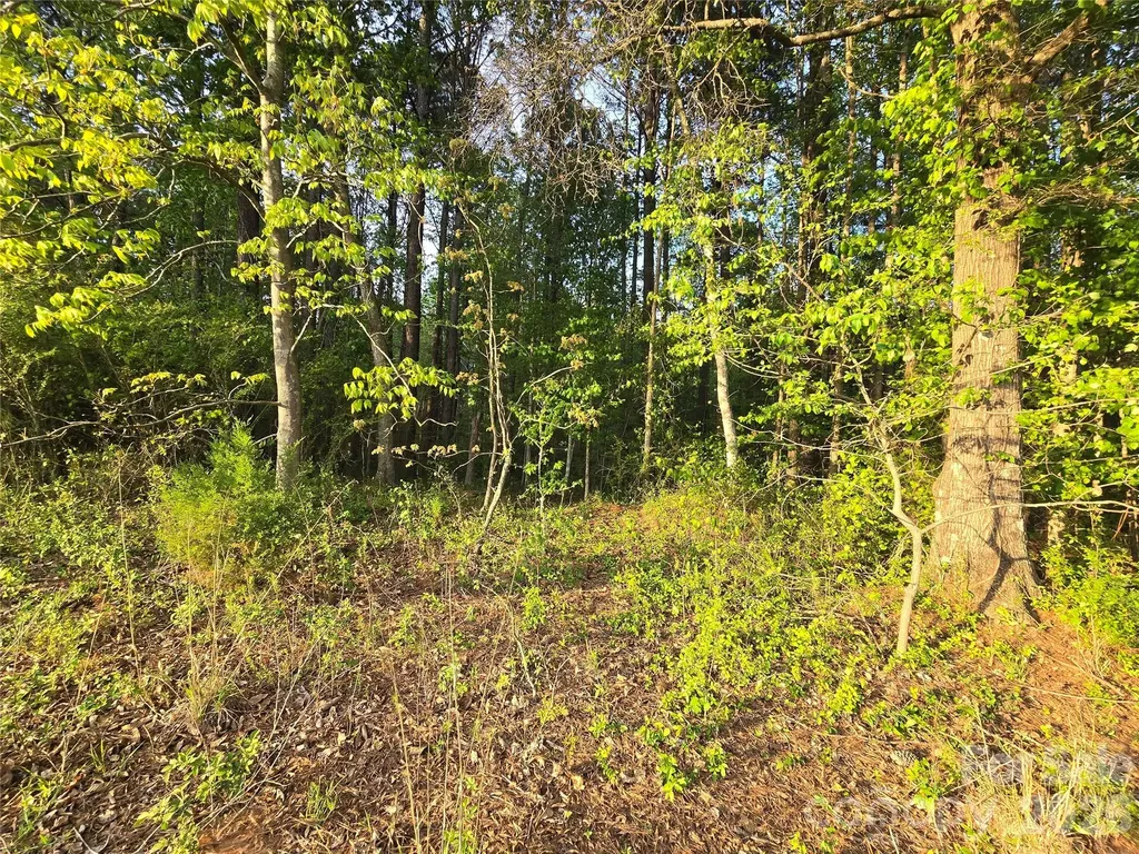 00 Ketchie Road Mt Ulla NC 28125