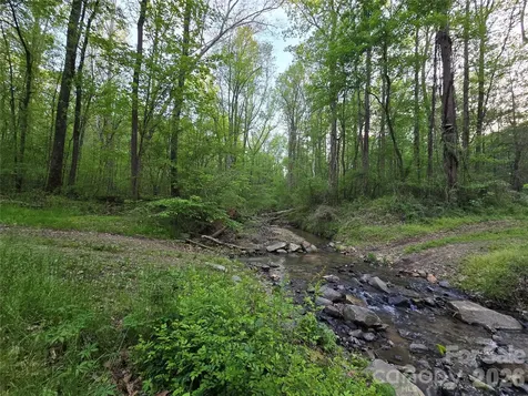 00 Ketchie Road Mt Ulla NC 28125