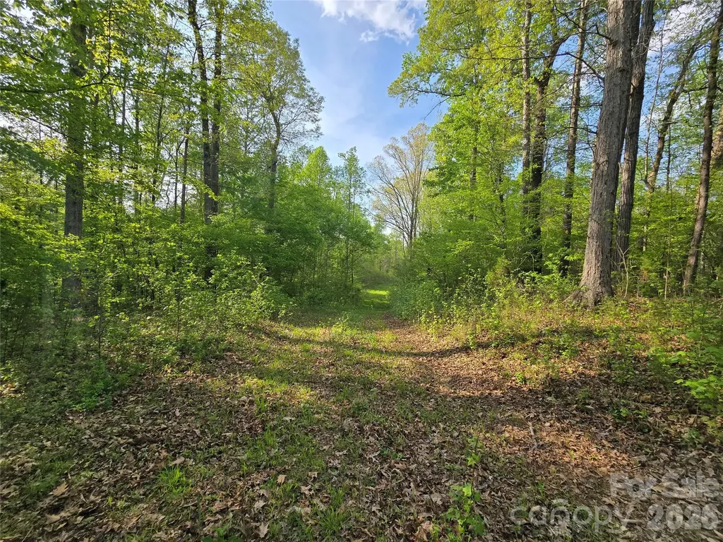 0 Nc 801 Highway Mt Ulla NC 28125