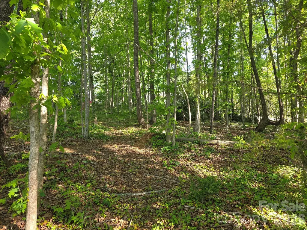 55 Cypress Road Marion NC 28752
