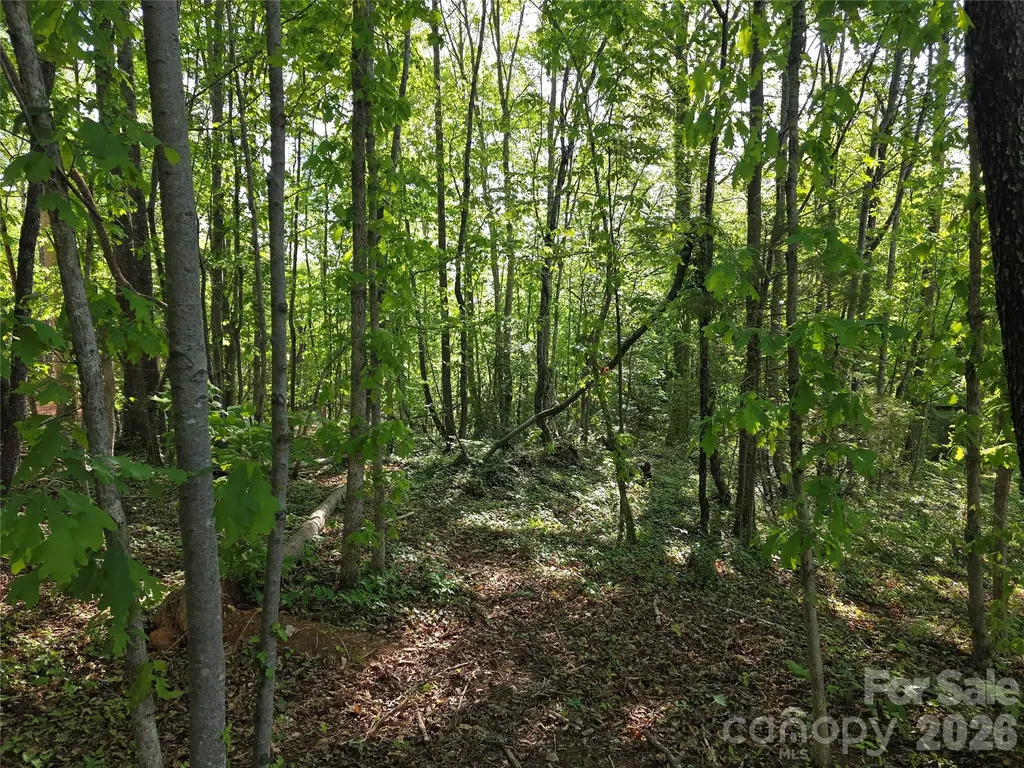 55 Cypress Road Marion NC 28752