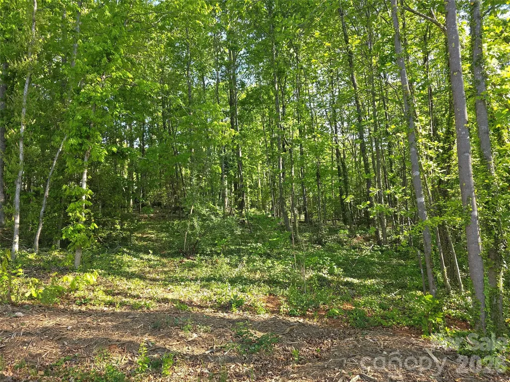 55 Cypress Road Marion NC 28752