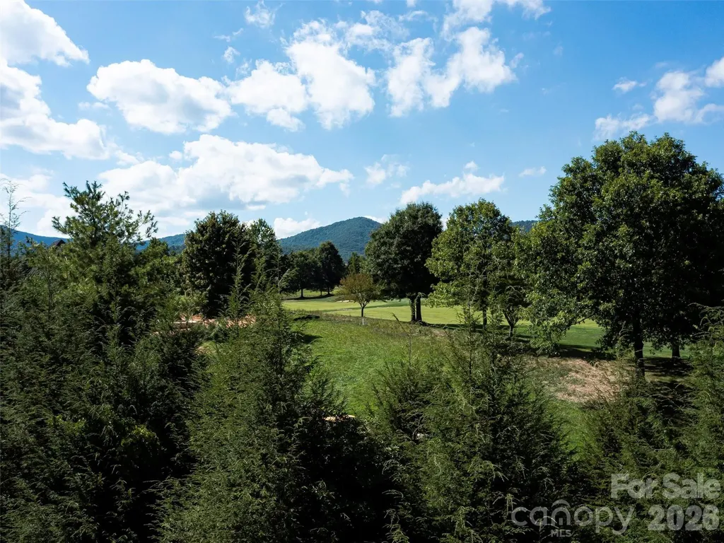 74 Walnut Valley Parkway Arden NC 28704
