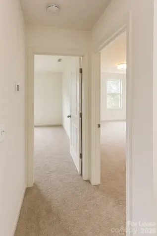 14229 Whistling Teal Drive Charlotte NC 28262