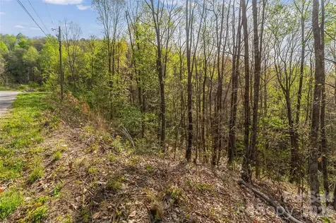 0 High Peak Mountain Road Valdese NC 28690