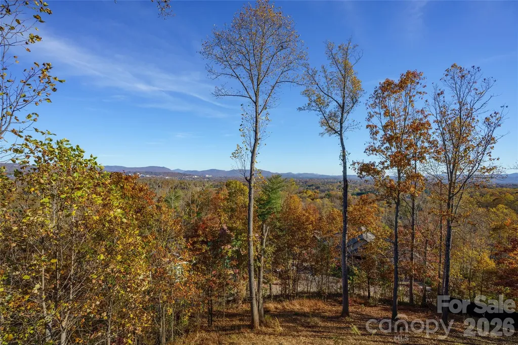 41 Ben Lippen School Road Asheville NC 28806