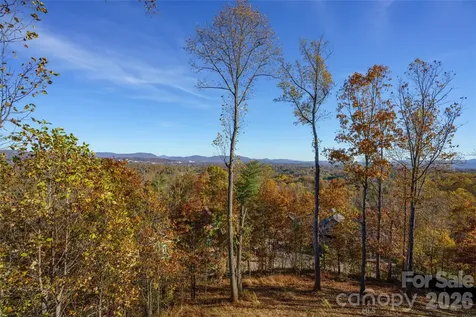 41 Ben Lippen School Road Asheville NC 28806