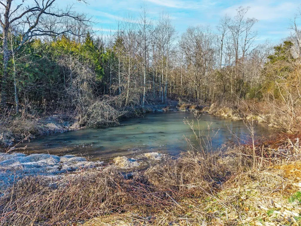 01 Dobbins Mill Road Yadkinville NC 27055