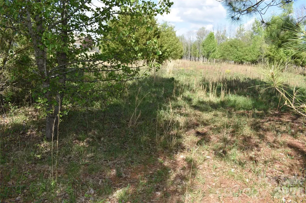 57 Malden Court Crouse NC 28033