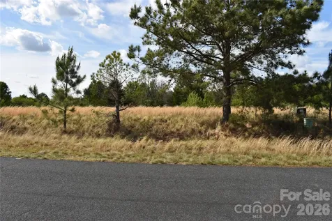 57 Malden Court Crouse NC 28033