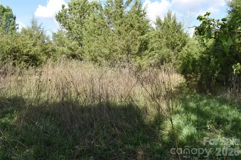 57 Malden Court Crouse NC 28033