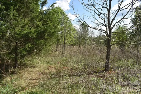 57 Malden Court Crouse NC 28033