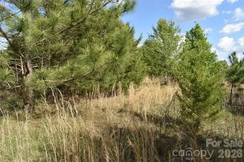 57 Malden Court Crouse NC 28033