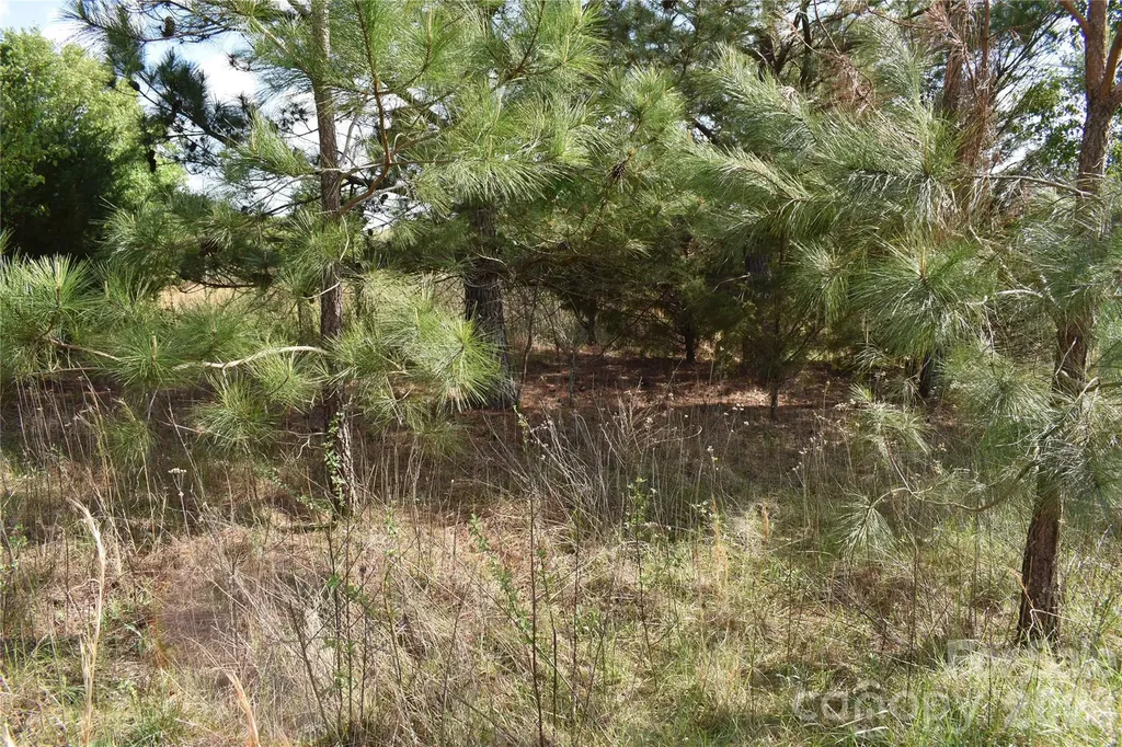58 Malden Court Crouse NC 28033