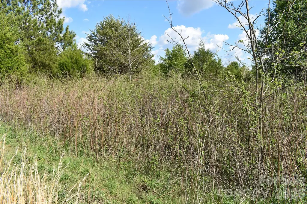58 Malden Court Crouse NC 28033
