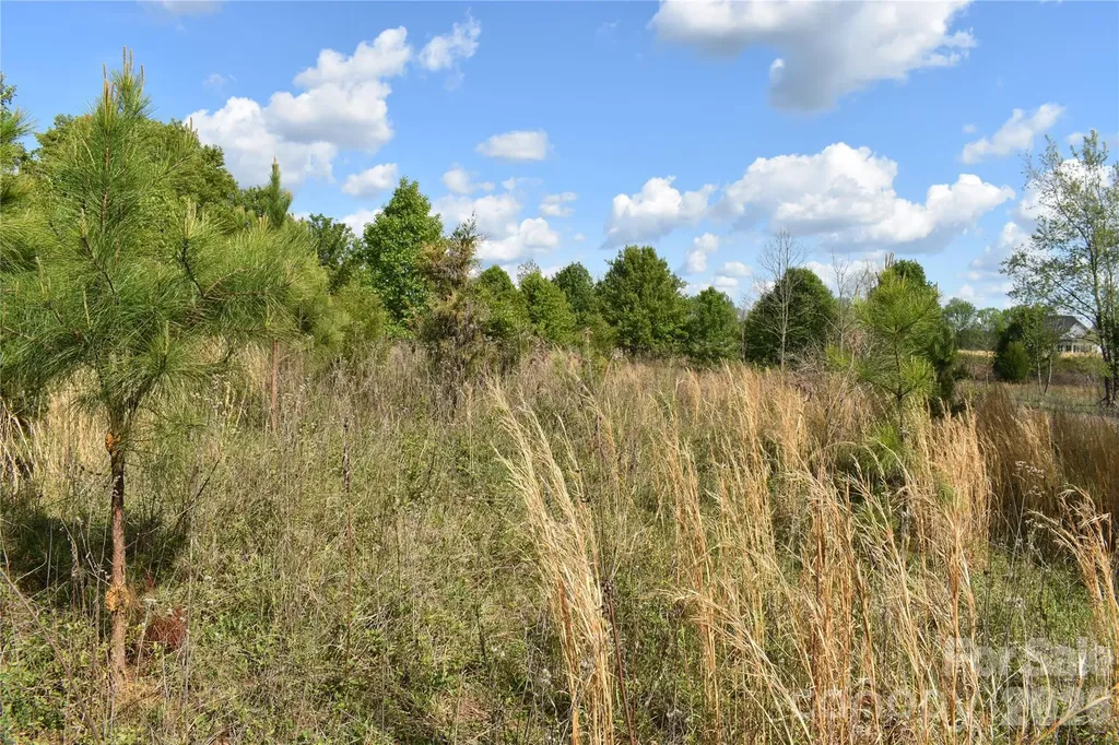 58 Malden Court Crouse NC 28033