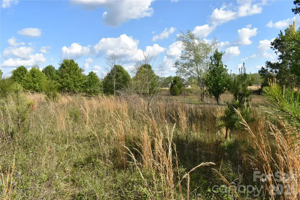 58 Malden Court Crouse NC 28033