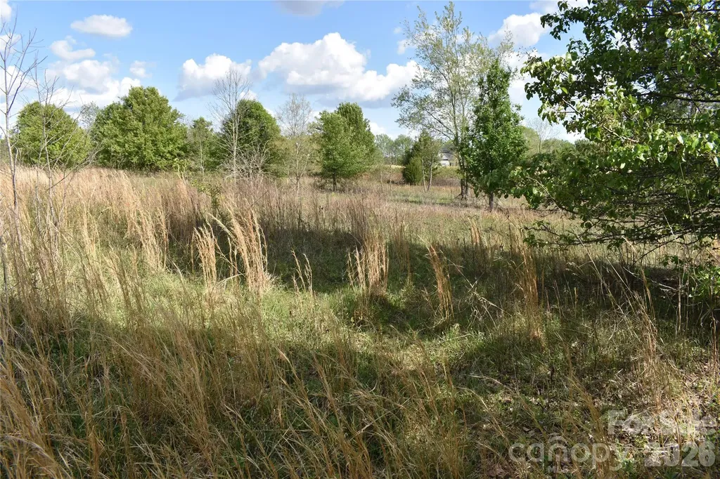 58 Malden Court Crouse NC 28033