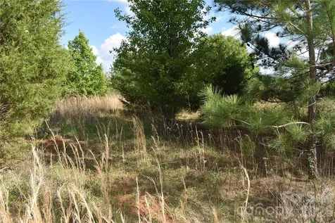 58 Malden Court Crouse NC 28033