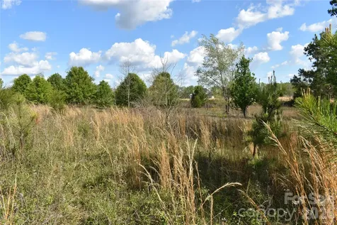 58 Malden Court Crouse NC 28033