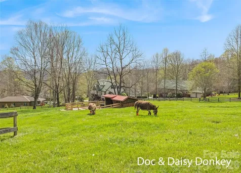41 Trapper Lane Waynesville NC 28785