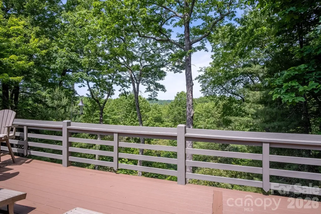 153 Brandy Ridge Brevard NC 28712