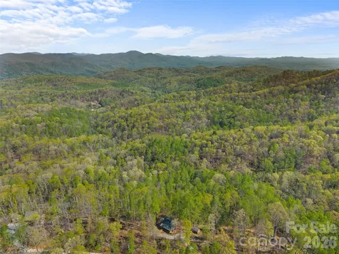 178 Tablerock Drive Saluda NC 28773