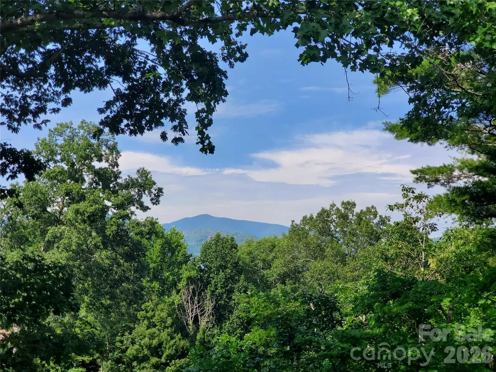 294 Martha Drive Spruce Pine NC 28777