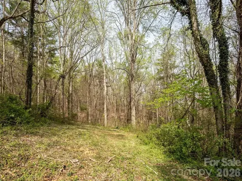 91 Rice Branch Road Asheville NC 28804