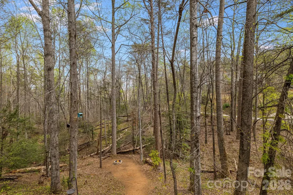 517 Pheasant Street Lake Lure NC 28746