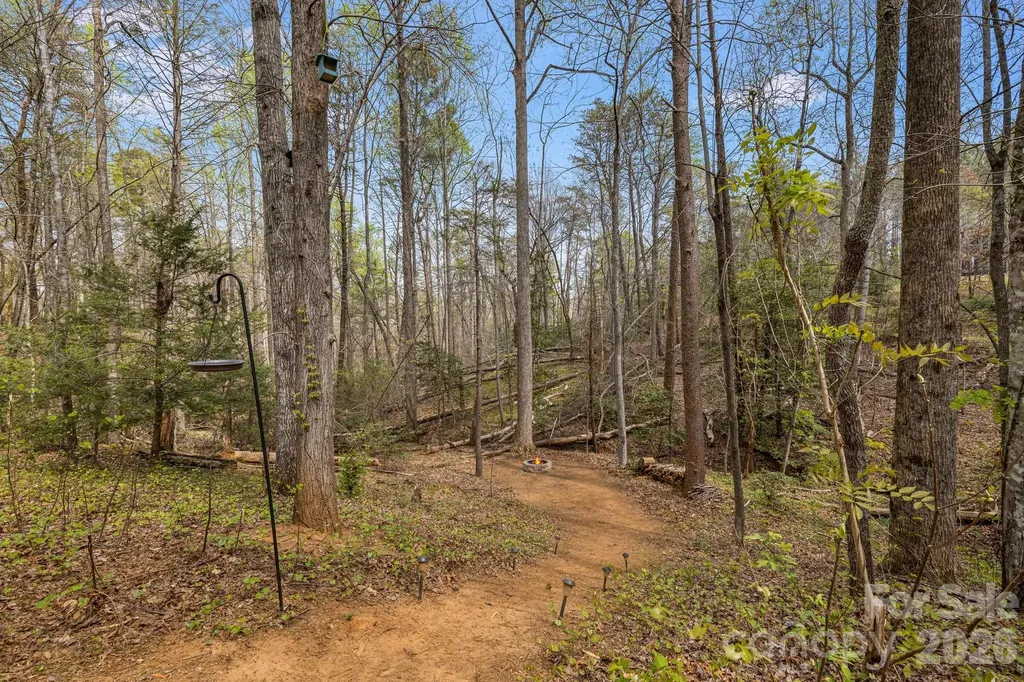 517 Pheasant Street Lake Lure NC 28746