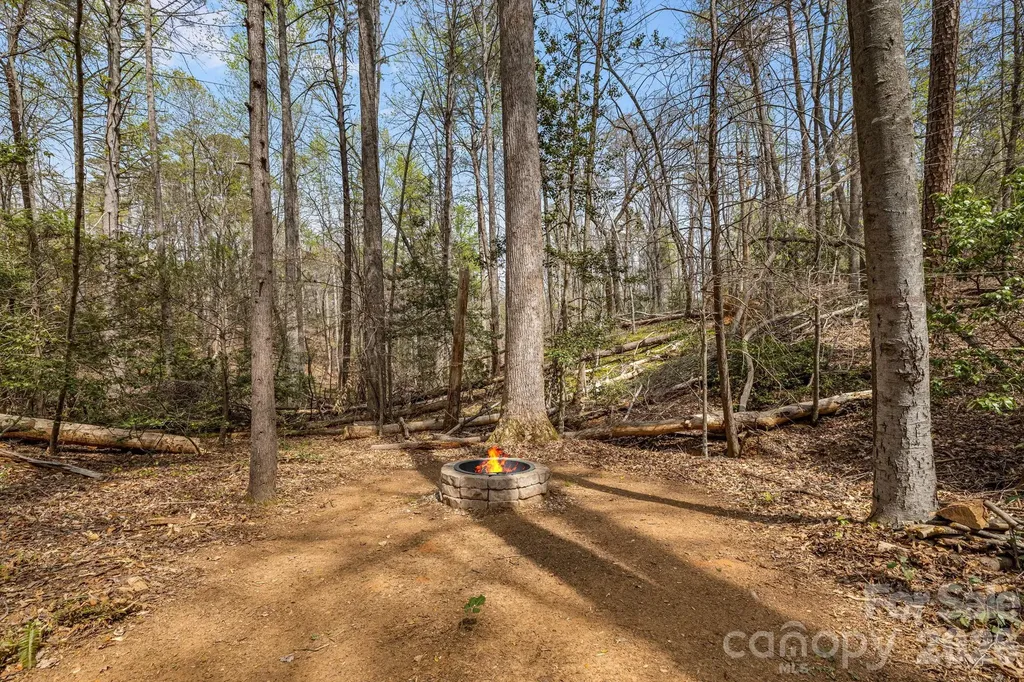 517 Pheasant Street Lake Lure NC 28746