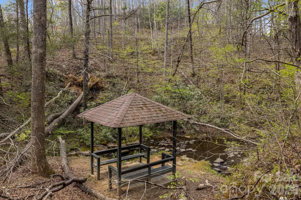517 Pheasant Street Lake Lure NC 28746
