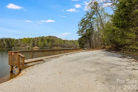 517 Pheasant Street Lake Lure NC 28746