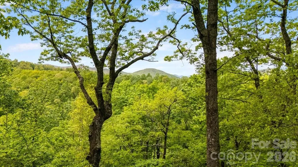 100 Gold Creek Crossing Black Mountain NC 28711
