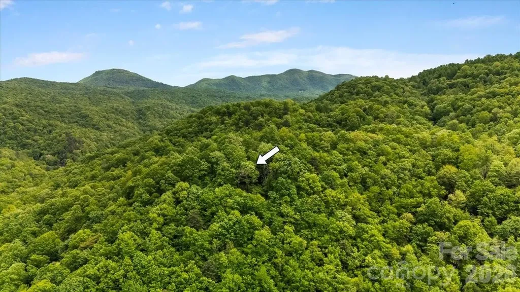 100 Gold Creek Crossing Black Mountain NC 28711