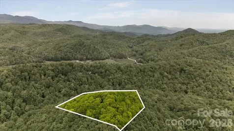 100 Gold Creek Crossing Black Mountain NC 28711