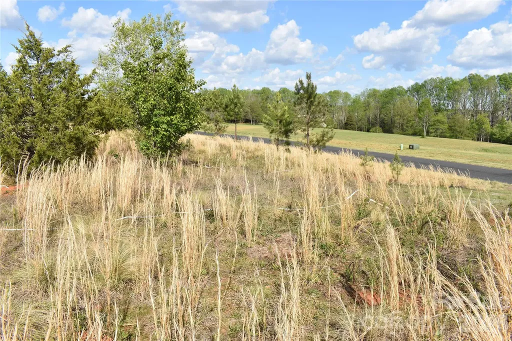 56 Malden Court Crouse NC 28033