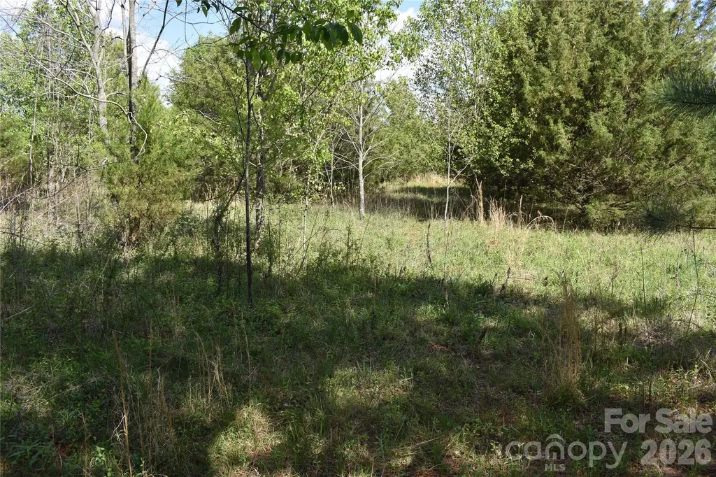 56 Malden Court Crouse NC 28033
