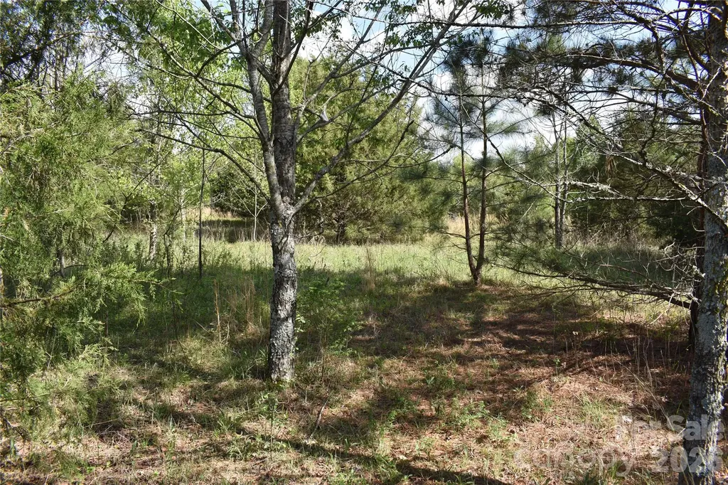 56 Malden Court Crouse NC 28033