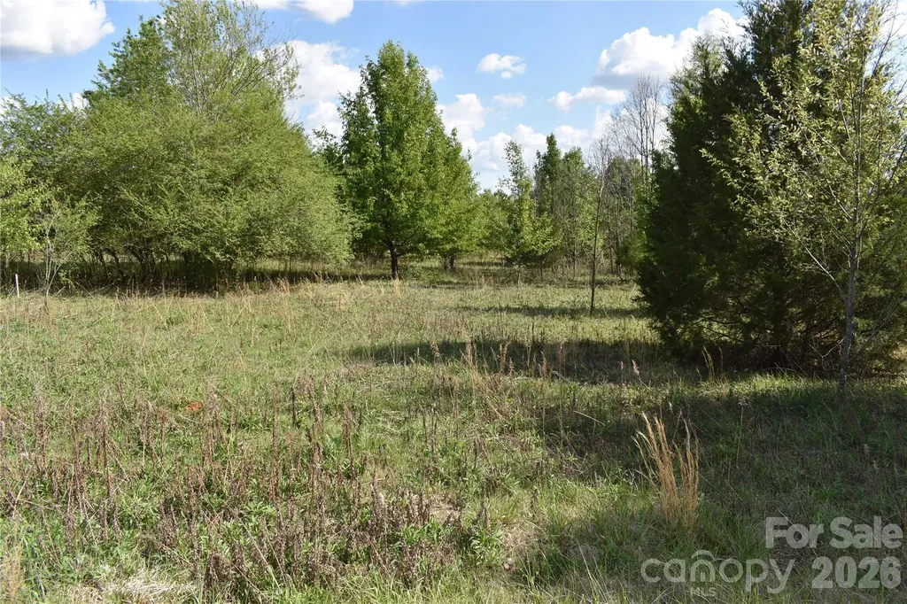 56 Malden Court Crouse NC 28033