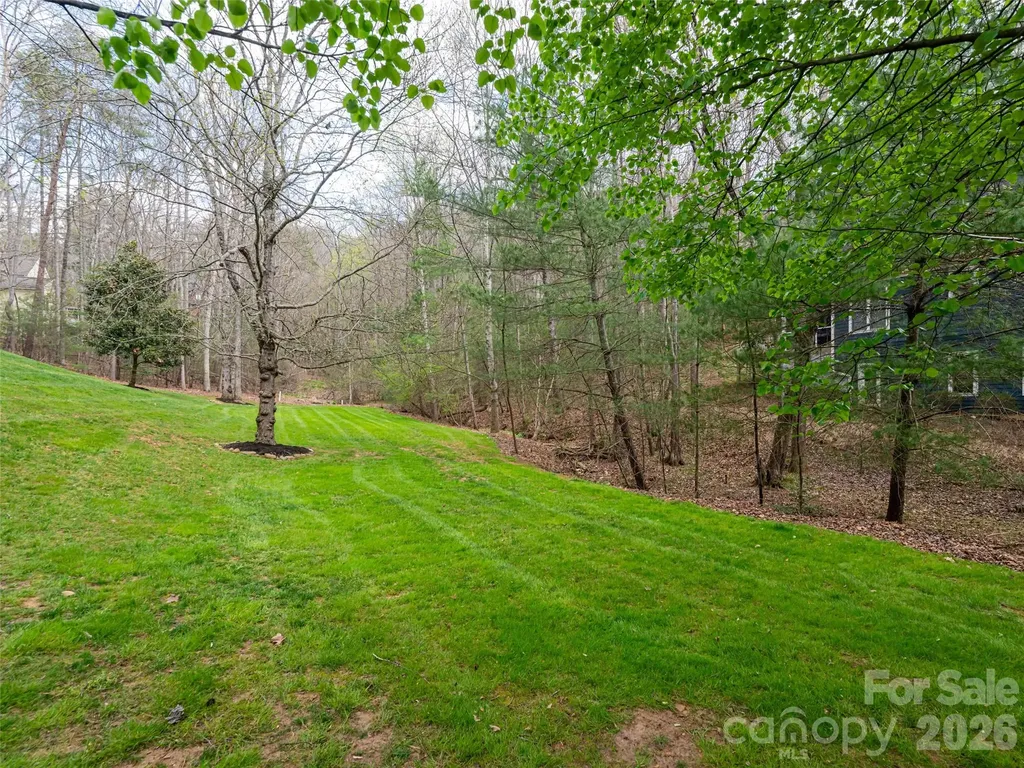67 White Ash Drive Asheville NC 28803