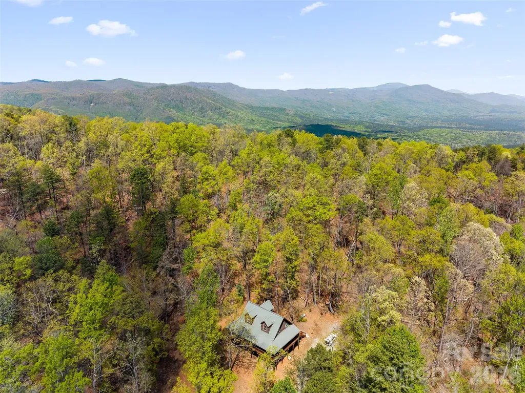 462 Deep Woods Lane Saluda NC 28773