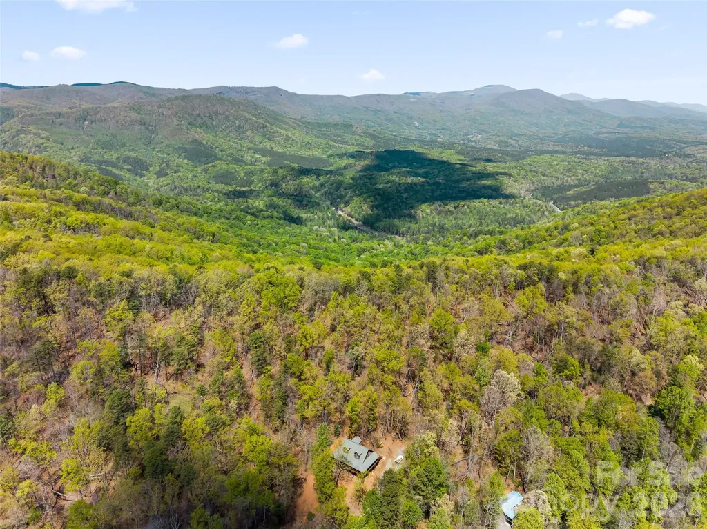 462 Deep Woods Lane Saluda NC 28773