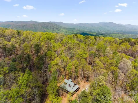 462 Deep Woods Lane Saluda NC 28773