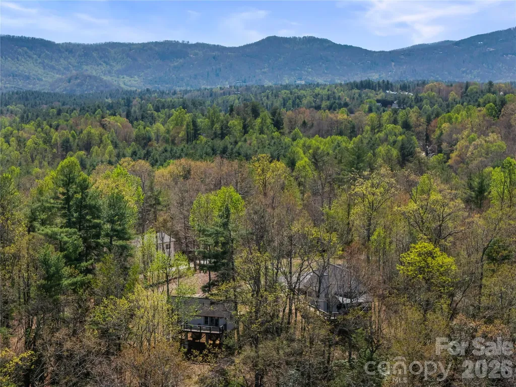 156 Ellerslie Acre Hendersonville NC 28739